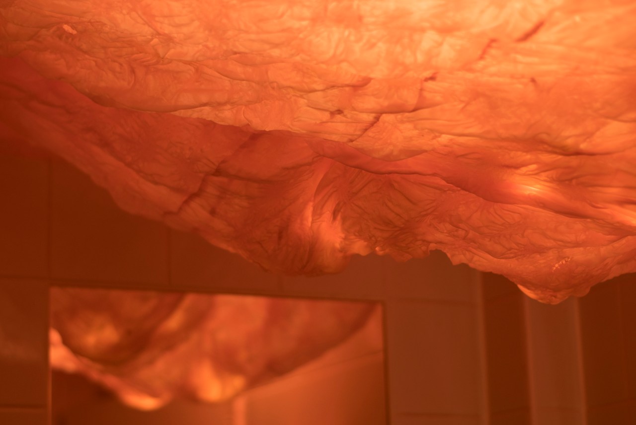 33352480468_6ab3345fcd_o