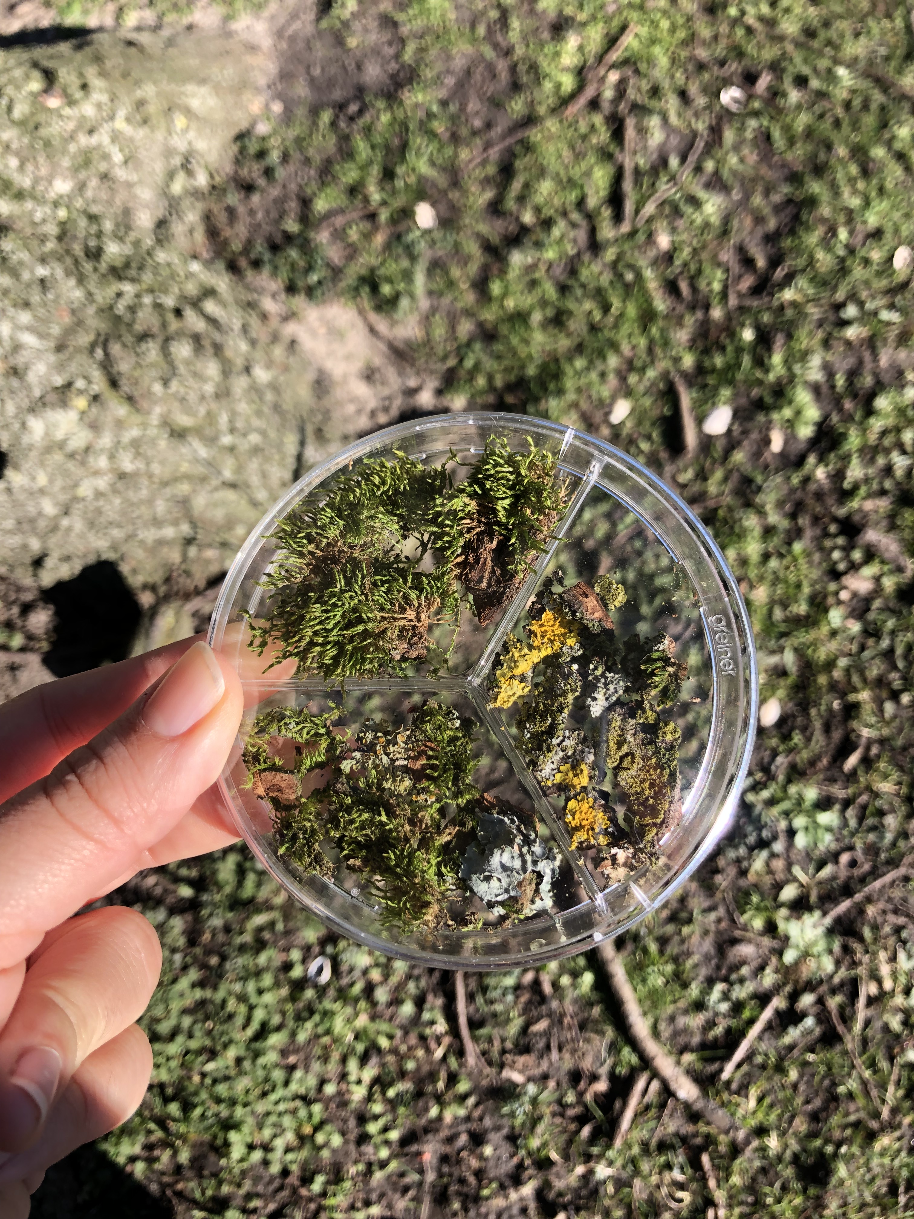 Bioreceptive Textiles – Margherita Soldati