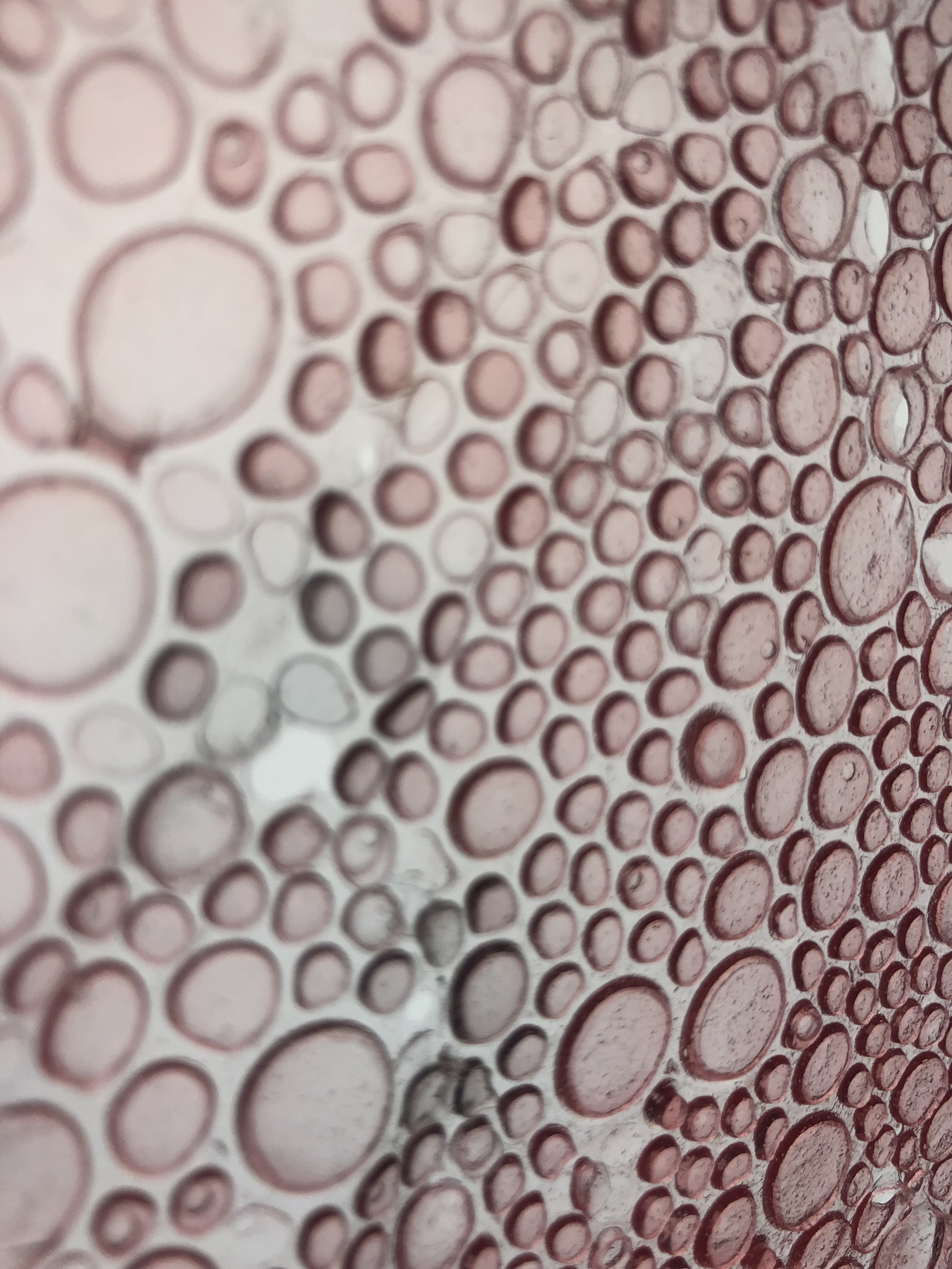 Bioreceptive Textiles – Margherita Soldati