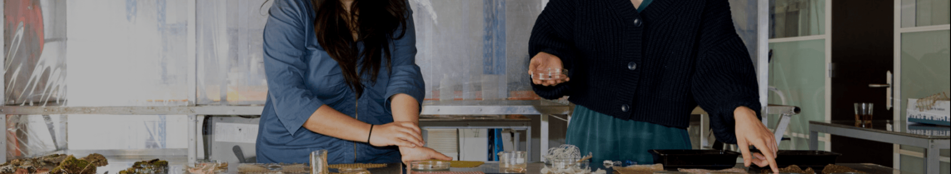 Bioreceptive Textiles – Margherita Soldati